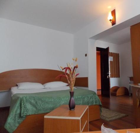 Hotel Amadeo Яссы Экстерьер фото